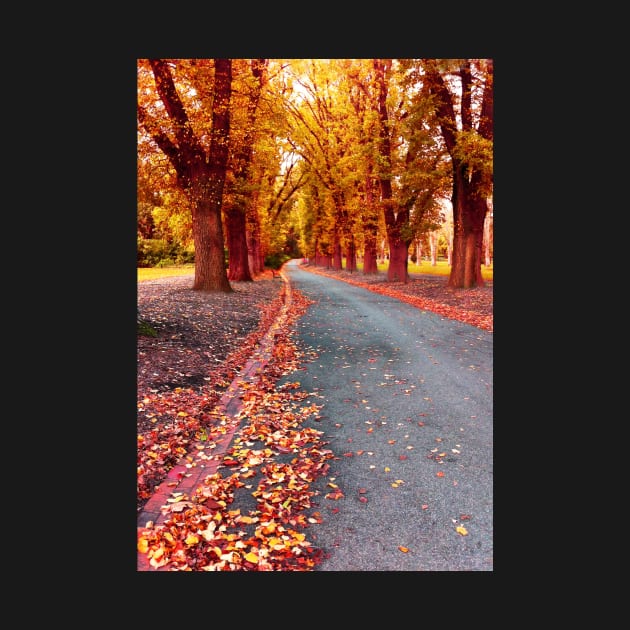 Autumn, Fitzroy Gardens by rozmcq