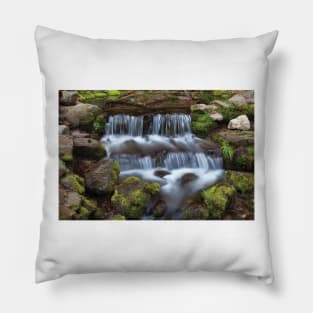 Fern Spring Waterfall Pillow