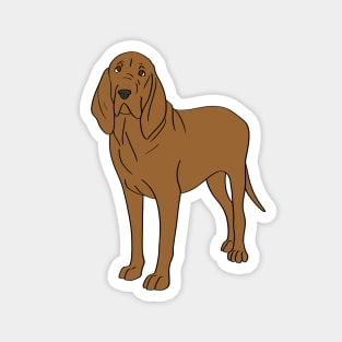 Bloodhound Magnet