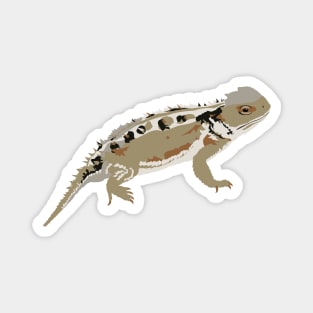 Greater Short-horned Lizard Magnet