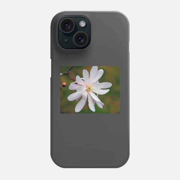 Magnolia Phone Case by ikshvaku