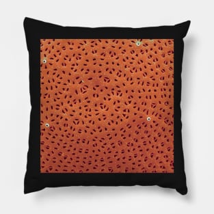 Diatom - Stephanodiscus niagarae (external, orange) Pillow