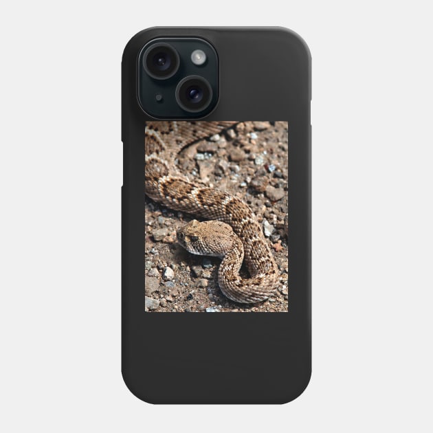 Rattlesnake near Joshua Tree entrance Phone Case by Lines