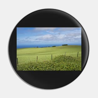 Kohala countryside Pin