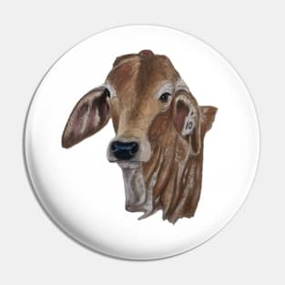 Brahman Calf Pin