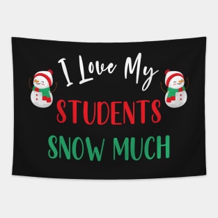 I Love My Students Snow Much / Funny Christmas Teacher Education Quote Tapestry