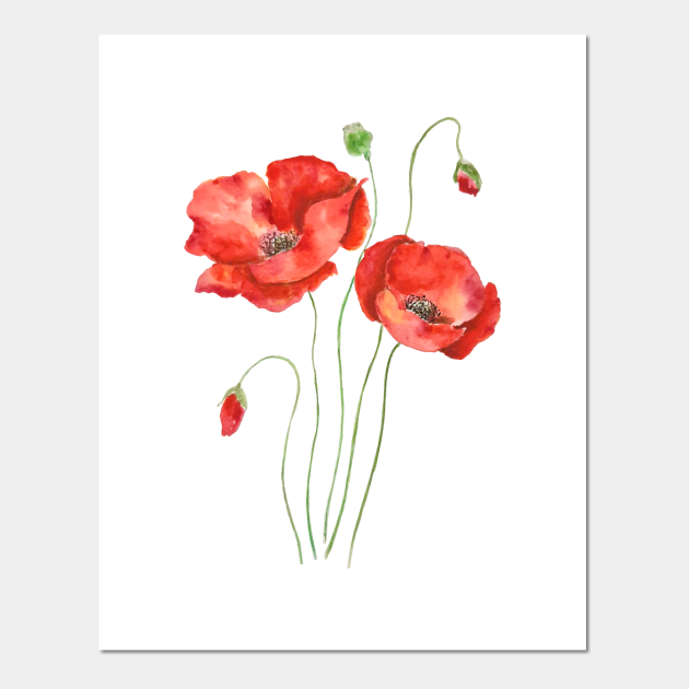 14 orange poppies watercolor