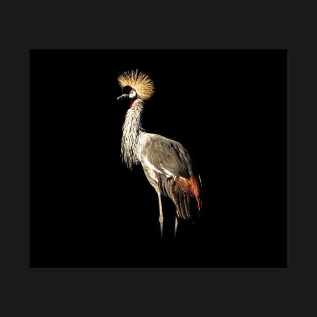 Grey crowned crane by Guardi