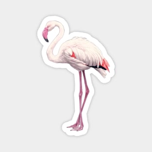 Flamingo Magnet