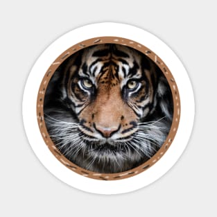 Tiger Design Magnet