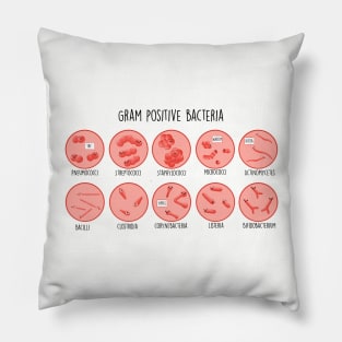 Gram Positive Bacteria Pillow