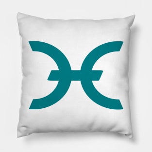 Holo Coin Cryptocurrency HOT crypto Pillow