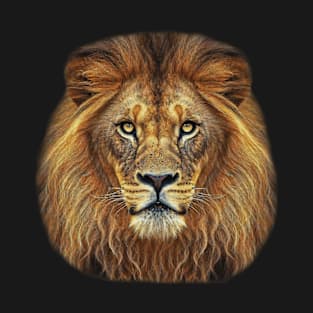 Lion Head With Cool Eyes African lion stylish T-Shirt