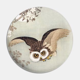 Scops Owl in flight, with cherry blossoms Pin