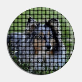 🐶 9+ Photo Sheltie Collage 💚 | Expressive Shetland Sheepdog Moments Pin