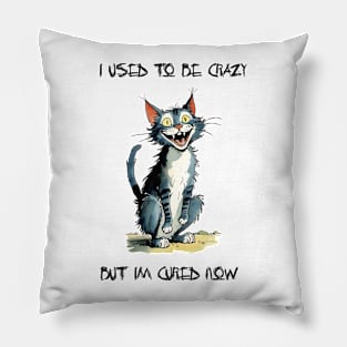 Crazy Cat Pillow