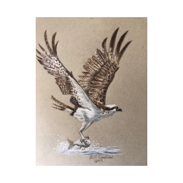 Osprey by Bill Cameron Fine Art