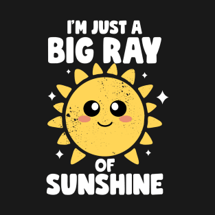 I'm Just A Big Ray Of Sunshine Kindness Irony And Sarcasm T-Shirt