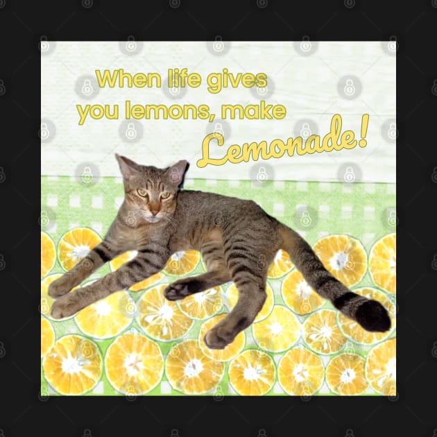 Cat with Funny Quote When Life Gives You Lemons, Make Lemonade by aspinBreedCo2