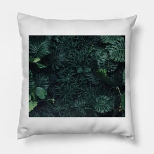 Luscious ferns Pillow