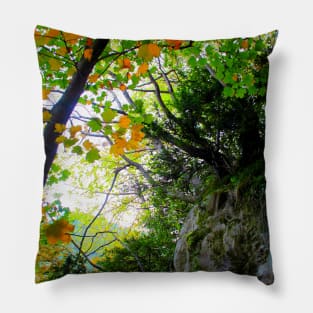 Scenery from Eremo di Soffiano in Sarnano between the Sibillini Mountains with foliage Pillow