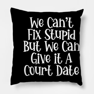 we can't fix stupid but we can give it a court date Pillow