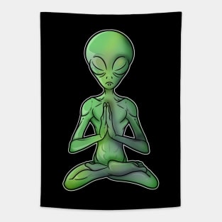 Peaceful Yoga Buddha Alien Tapestry