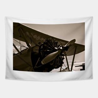 Vintage Bi Plane Tapestry