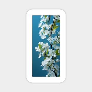 Soft white flowers against aquamarine sky sets a peaceful and romantic mood Magnet