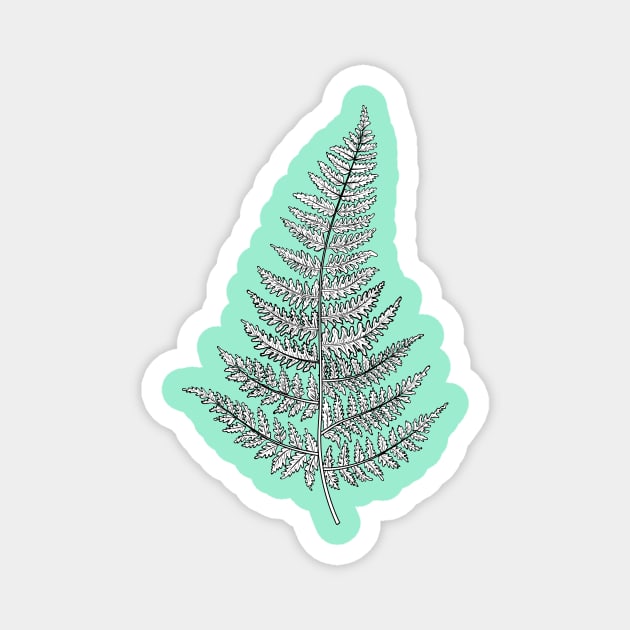 Botanical Fern Drawing Magnet by SWON Design