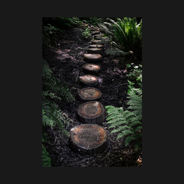 Tree stump path in the forest by Robtography