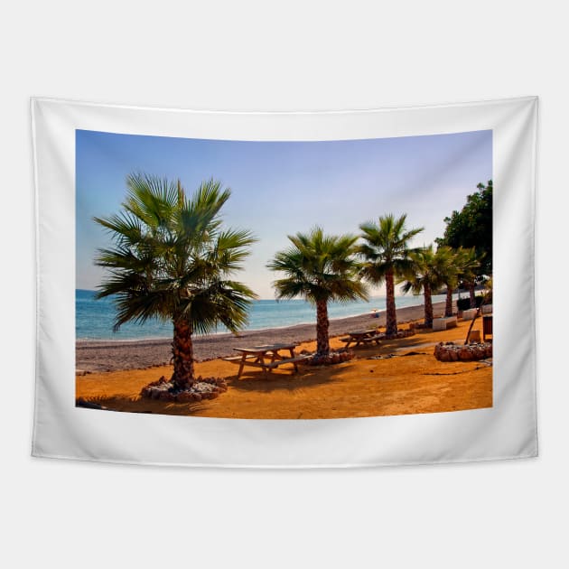 Palm trees Torrox Costa Del Sol Andalusia Costa Spain Tapestry by AndyEvansPhotos