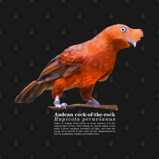 Andean cock-of-the-rock tropical bird white text by Ornamentum