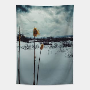 Winter's Dramatic Ballet V2 Tapestry