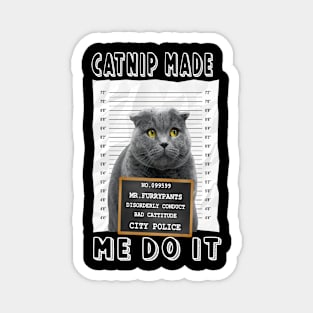 Catnip-Made-Me-Do-It Magnet