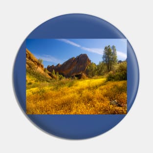 Pinnacles National Park Pin