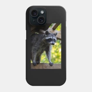 Pretty Raccoon Girl Phone Case