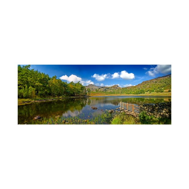 The Beauty of Blea Tarn by BrianPShaw