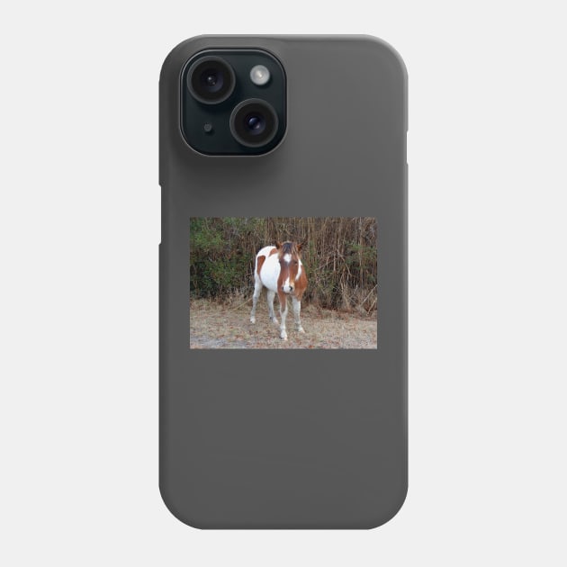 Wild horses, wildlife, Assateague, Island Babe Phone Case by sandyo2ly