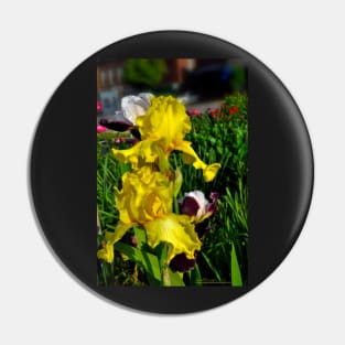 Yellow Iris Pin