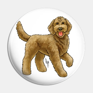 Dog -  Goldendoodle - Apricot Pin