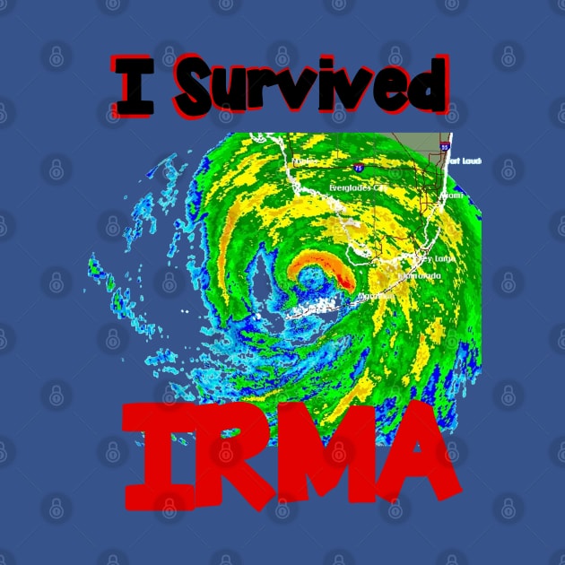 I SURVIVED Hurricane IRMA by Orikall by Orikall