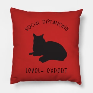 Funny Black Cat Design Pillow