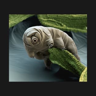 Water Bear or Tardigrade Under the Microscope T-Shirt