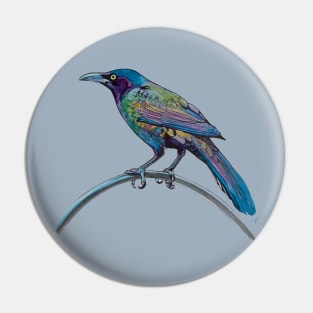 Colorful Grackle Pin