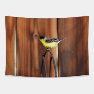 Gold Finch and Old Wooden Fence Tapestry