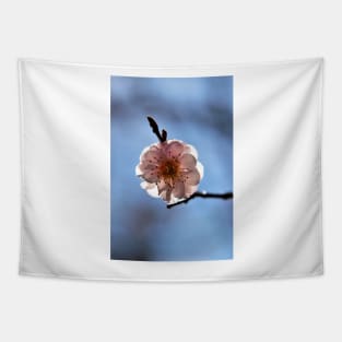 Cherry Blossom Tapestry