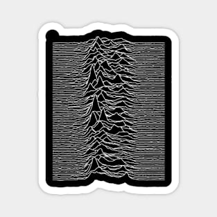 Unknown Vintage Pleasures Magnet