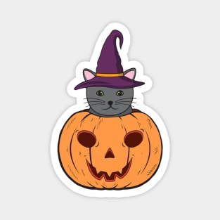 Halloween Cute Cat With Witch Hat Stuck In A Pumpkin Head. Magnet