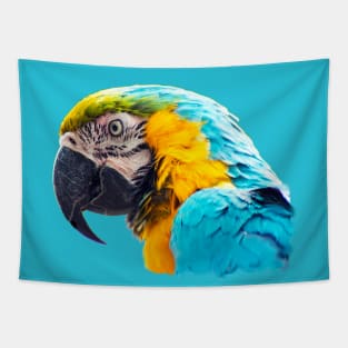 Macaw portrait Tapestry